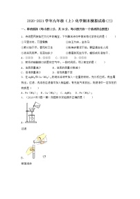 河南省濮阳市华龙区2021-2022学年九年级上学期化学期末模拟题(三)（word版 含答案）