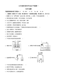 精品解析：2020年山东省菏泽市牡丹区九年级中考一模化学试题（解析版+原卷版）