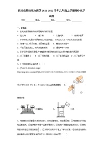 四川省攀枝花市西区2021-2022学年九年级上学期期中化学试题（word版 含答案）