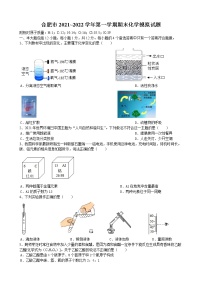 安徽省合肥市2021_2022学年九年级上学期期末化学模拟试题（word版 含答案）