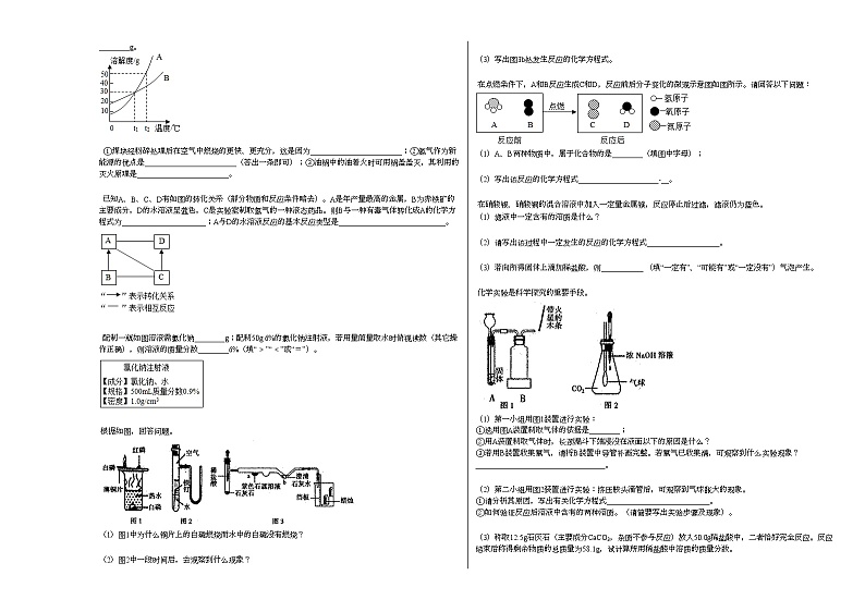 2020-2021学年河南省安阳市林州市某校九年级期末考试_（化学）试卷人教版第3页