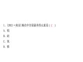 2022年鲁教版化学中考专题训练    　物质的构成及元素课件PPT