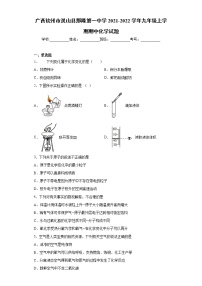 广西钦州市灵山县那隆第一中学2021-2022学年九年级上学期期中化学试题（word版 含答案）