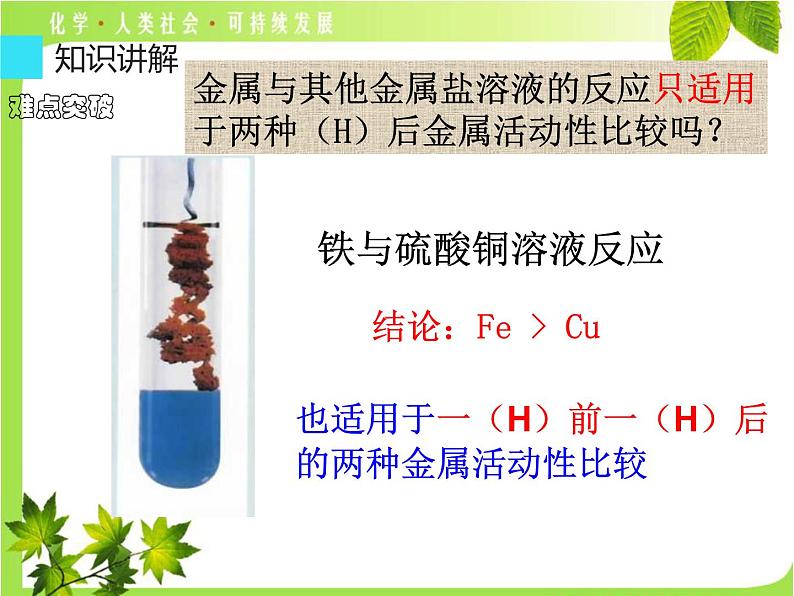 金属化学性质（金属活动性顺序应用）课件PPT06