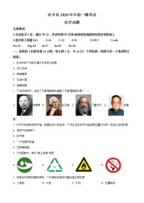 精品解析：2020年河南省南阳市内乡县中考一模化学试题（解析版+原卷版）