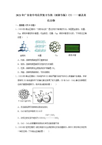 2021年广东省中考化学复习专练（深圳专版）（5）——碳及其化合物（含解析）