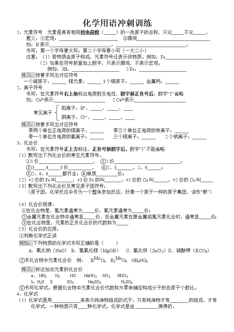 2021年中考化学专题复习化学用语冲刺训练（WORD版，无答案）第1页