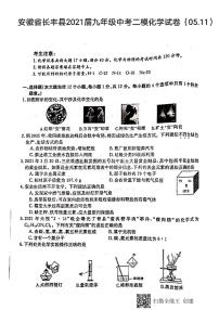 安徽省合肥市长丰县2021届九年级中考二模化学试卷（PDF版，无答案）