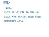 溶液酸碱性的检验PPT课件免费下载