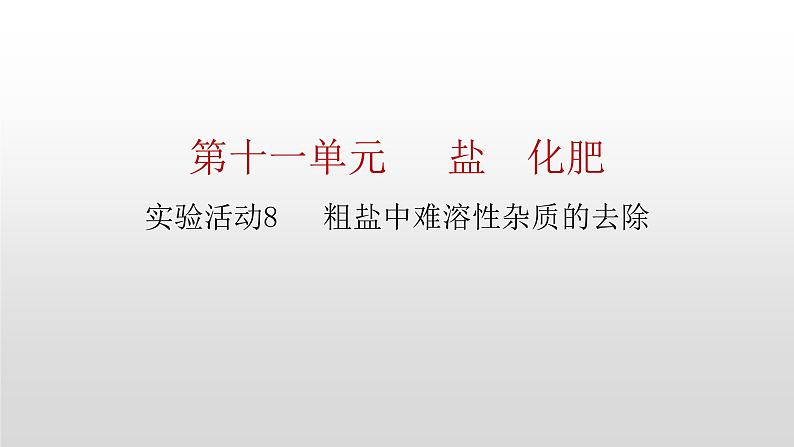 人教版九年级化学下册 第十一单元 实验活动8　粗盐中难溶性杂质的去除 课件第1页