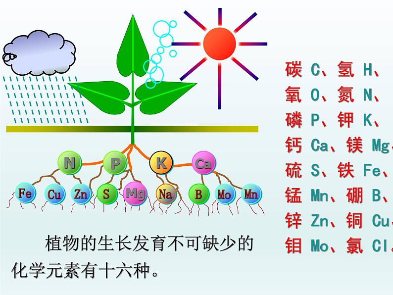 人教五四制初中化学九全册《第四单元  课题2 化学肥料》课件PPT第5页