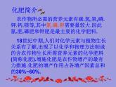 人教五四制初中化学九下《第十一单元  课题2 化学肥料》课件PPT