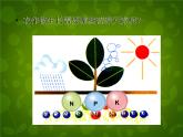 人教五四制初中化学九全册《第四单元  课题2 化学肥料》课件PPT