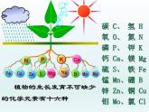 人教五四制初中化学九下《第十一单元  课题2 化学肥料》课件PPT