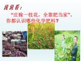 人教五四制初中化学九下《第十一单元  课题2 化学肥料》课件PPT