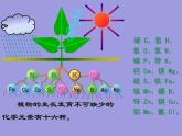 人教五四制初中化学九下《第十一单元  课题2 化学肥料》课件PPT