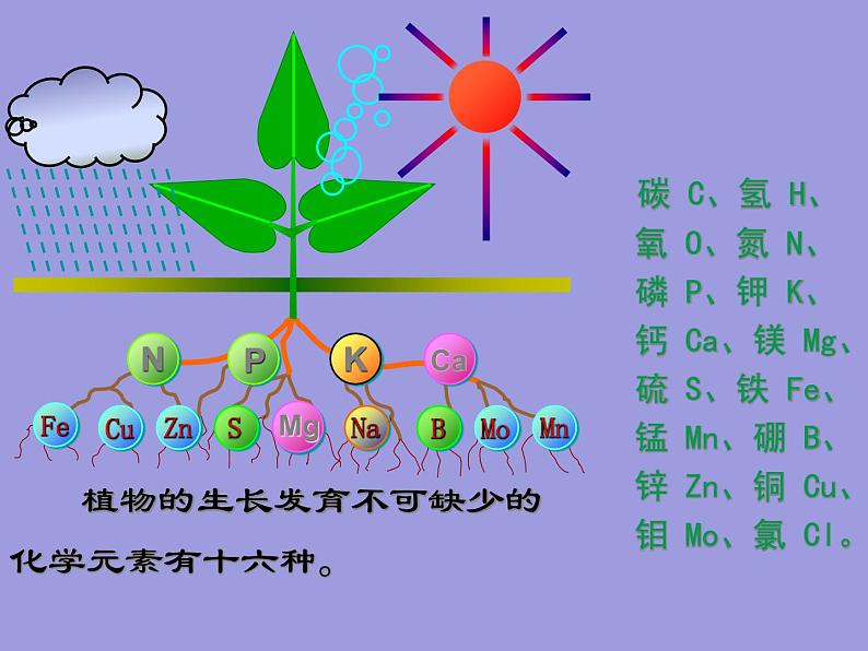 人教五四制初中化学九下《第十一单元  课题2 化学肥料》课件PPT03