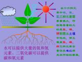 人教五四制初中化学九下《第十一单元  课题2 化学肥料》课件PPT