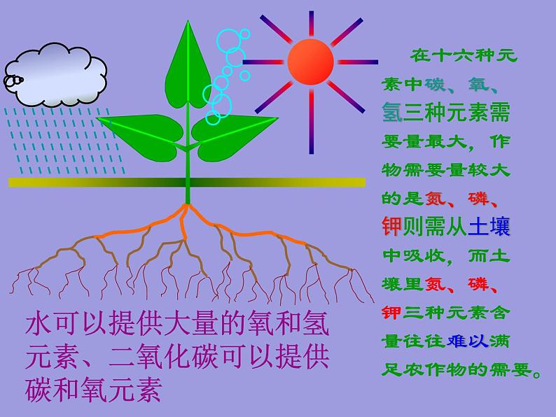 人教五四制初中化学九下《第十一单元  课题2 化学肥料》课件PPT04