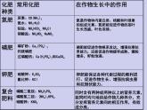 人教五四制初中化学九全册《第四单元  课题2 化学肥料》课件PPT