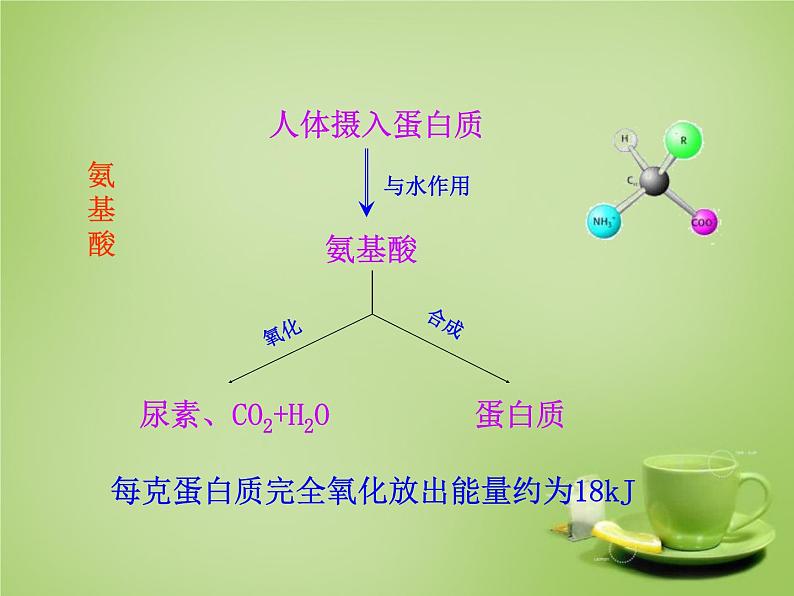 人教五四制初中化学九年级全册《第五单元 课题1 人类重要的营养物质》课件PPT08