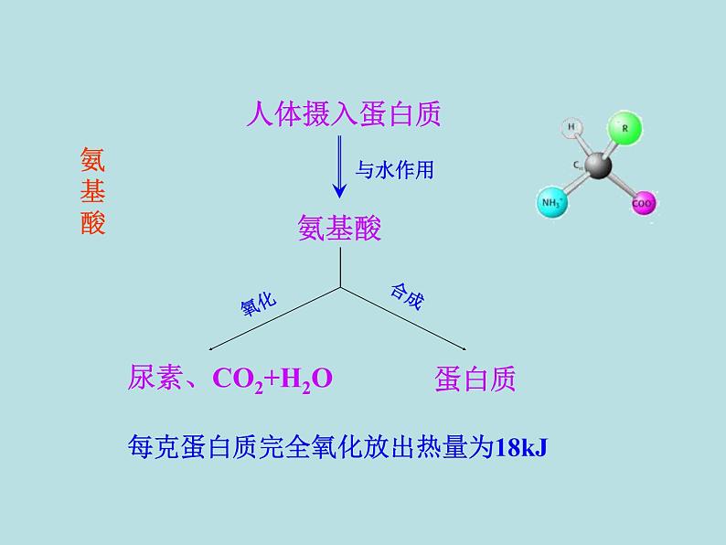 人教五四制初中化学九年级全册《第五单元 课题1 人类重要的营养物质》课件PPT第8页