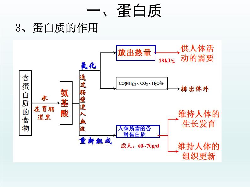 人教五四制初中化学九年级全册《第五单元 课题1 人类重要的营养物质》课件PPT06