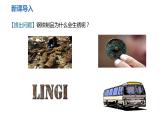 人教版九年级化学下册 第八单元 课题3  金属资源的利用和保护 第2课时  金属资源保护 课件及教案