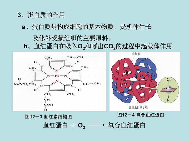 人教五四制初中化学九全册《第五单元 化学与生活》课件PPT第4页