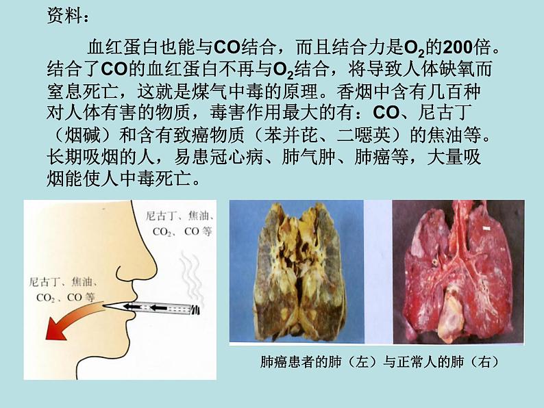 人教五四制初中化学九全册《第五单元 化学与生活》课件PPT第5页