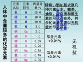 人教五四制初中化学九年级全册《第五单元 课题2 化学元素与人体健康》课件PPT