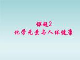 人教五四制初中化学九年级全册《第五单元 课题2 化学元素与人体健康》课件PPT