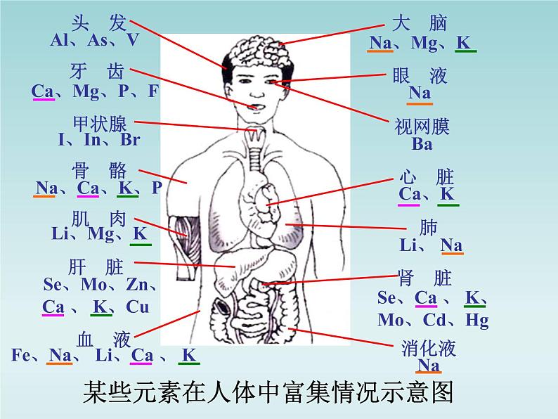 人教五四制初中化学九年级全册《第五单元 课题2 化学元素与人体健康》课件PPT第8页