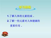 人教五四制初中化学九年级全册《第五单元 课题2 化学元素与人体健康》课件PPT