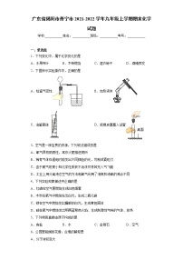 广东省揭阳市普宁市2021-2022学年九年级上学期期末化学试题（word版 含答案）