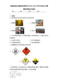 安徽省淮北市濉溪县淮海中学2021-2022学年九年级上学期期末模拟化学试题（word版 含答案）