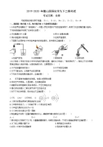 湖南省长沙市麓山国际实验学校2020届九年级下学期第二次模拟考试化学试题（解析版+原卷版）