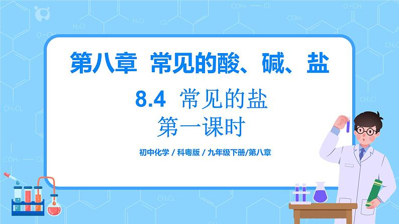 科粤版化学九下 8.4《常用的盐》第一课时  精品课件+教学详案+练习01