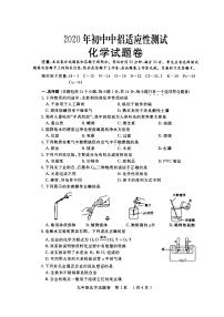 郑州市2020年初三二模化学试卷+答案