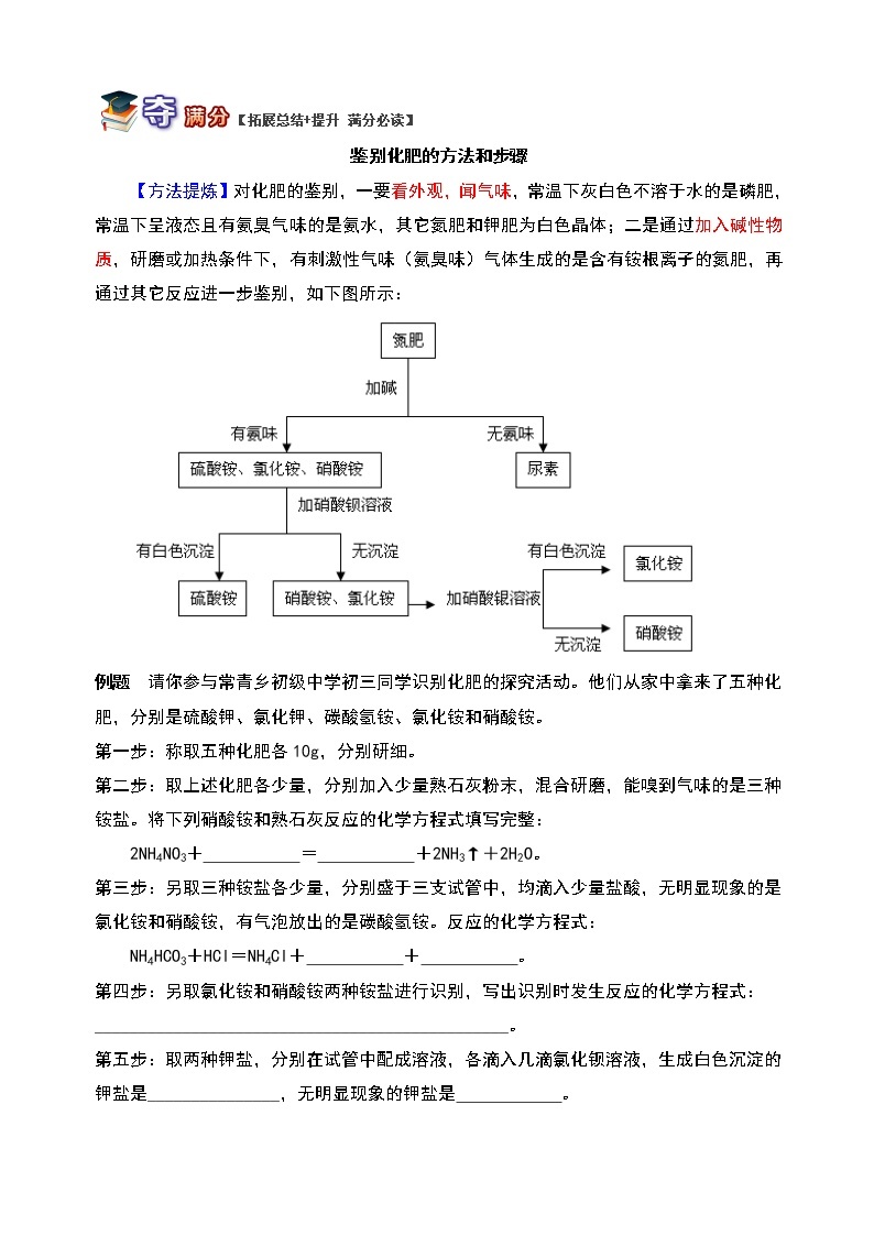 通用版中考化学重难点易错点复习讲练解析化肥及化肥的鉴别含解析学案03