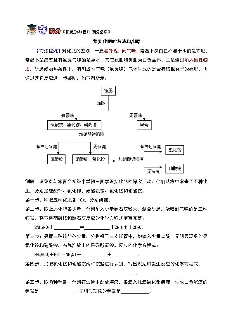 通用版中考化学重难点易错点复习讲练解析化肥及化肥的鉴别含解析学案第3页