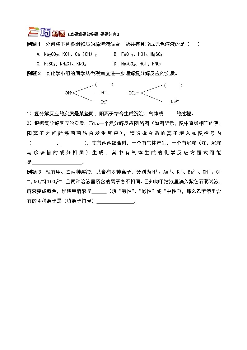 通用版中考化学重难点易错点复习讲练巧学盐的性质含解析学案第3页