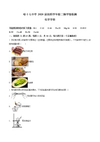 精品解析：2020年黑龙江省哈尔滨市南岗区第十七中学中考二模化学试题（解析版+原卷版）