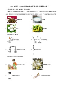 精品解析：2020年黑龙江省哈尔滨市南岗区中考二模化学试题（解析版+原卷版）