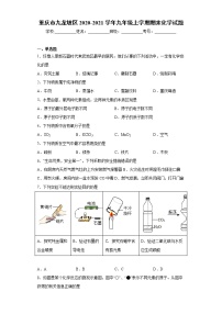 重庆市九龙坡区2020-2021学年九年级上学期期末化学试题（word版 含答案）