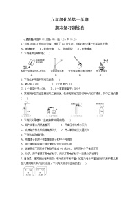 2021-2022学年九年级化学人教版上学上册期末复习训练卷（word版 含答案）