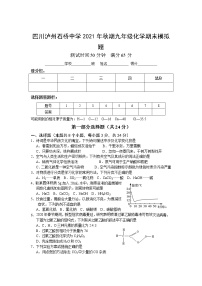 四川省泸州市泸县石桥镇石桥初级中学校2021-2022学年上学期九年级化学期末模拟题（word版 含答案）