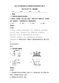 2021年河南省新乡市牧野区河南省师大附中初中化学中考一模试题