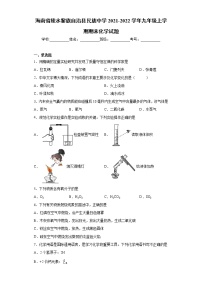 海南省陵水黎族自治县民族中学2021-2022学年九年级上学期期末化学试题（word版 含答案）