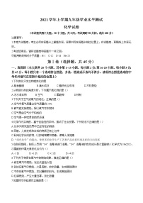 云南省文山州文山市2021-2022学年九年级上学期期末化学试题（word版 含答案）